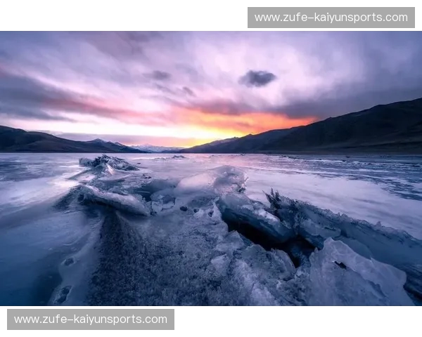 冰与火之歌：芝加哥与温哥华，两座北美都市的魅力对决